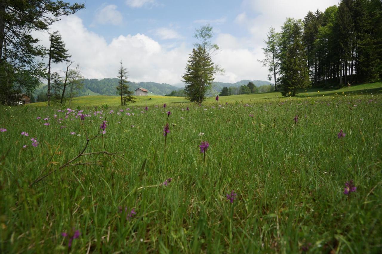 Berghof Voeglerbrand Villa อันเดลส์บุค ภายนอก รูปภาพ